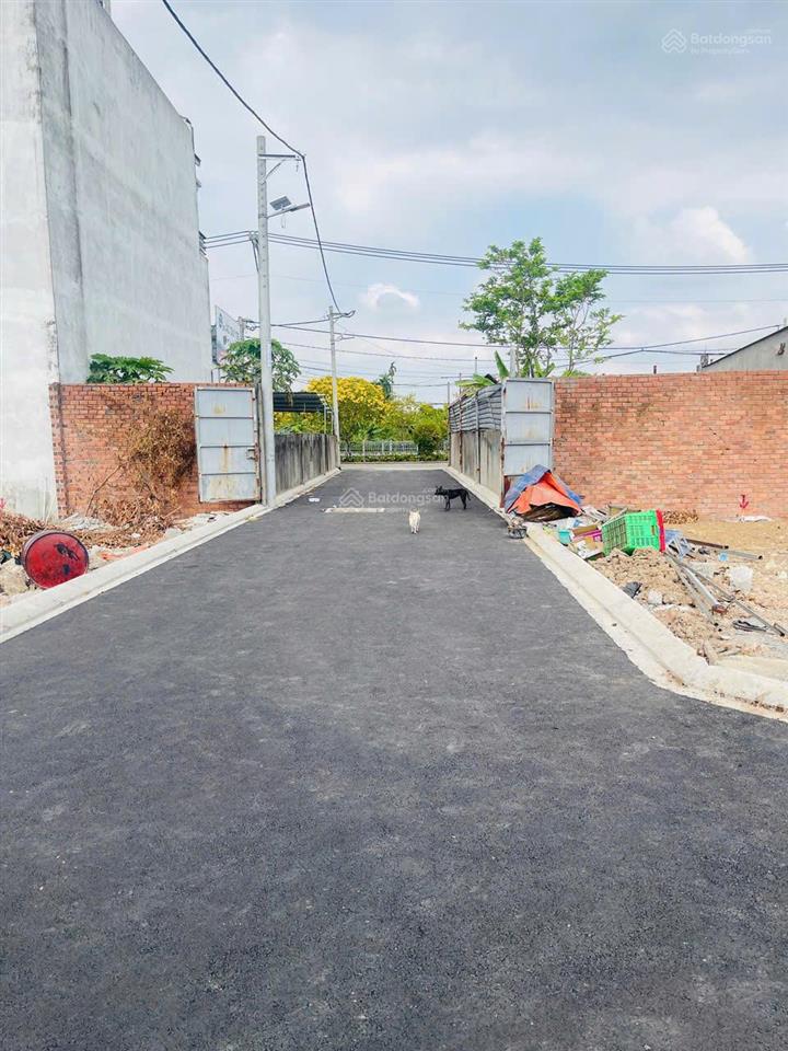 Ở thạnh lộc mà tưởng đâu ở đà lạt, đường hoa chỉ có tại thạnh lộc 37, an phú đông, q12