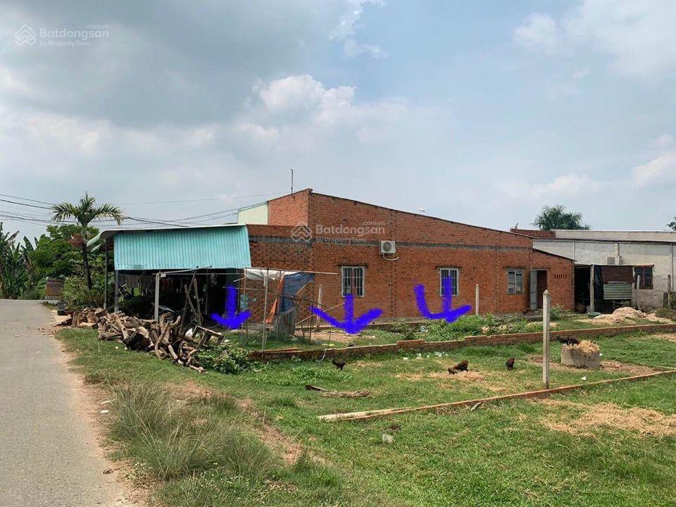 Cần bán gấp lô đất tại huỳnh văn cọ, tân an hội , củ chi giá chỉ 550 triệu 125m2