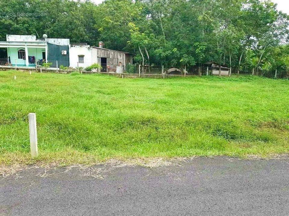 Kẹt tiền bán nhanh lô đất 200m2 tại tân phú trung, shr