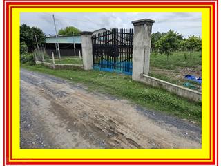 Bán lô đất 1250m² thổ cư 100m², đường xe tải vào tận nơi, sổ sẵn, chủ ngộp cần bán gấp