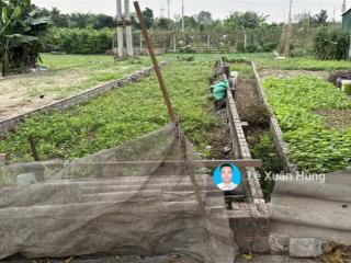 Giá cực tốt chỉ 80tr/m2 có ngay 123m2 đường 5m view cánh đồng mát mẻ tại khoan tế, xã bát tràng