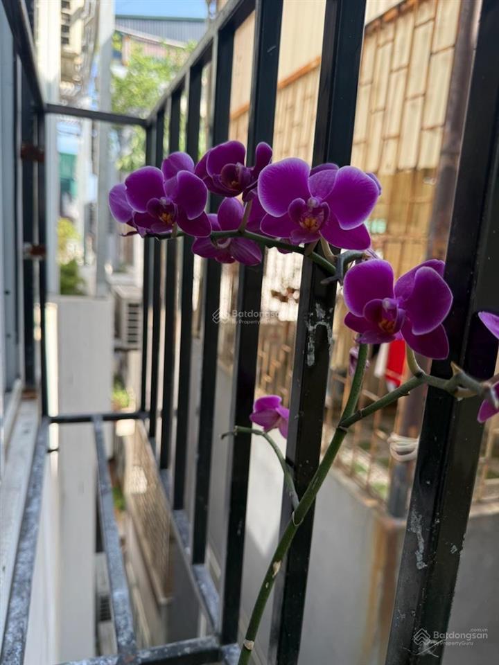 Siêu phẩm gần đh y phố tôn thất tùng nhà cực mới, ngõ thông gần ô tô, ko quy hoạch dt 45m2*5t