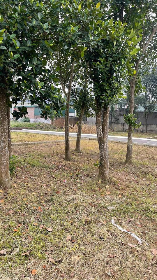 Bán 100m² full thổ cư, đường 4m, giá f0 tại thôn phúc tiến, b.yên, t.thất, hn, xã hạ bằng mới