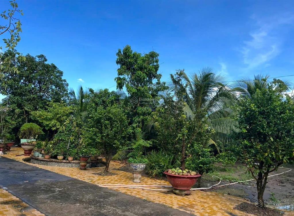 Cho thuê nhà mặt phố 397 trần thị thơm, 10 triệu, 2000m2, hàng hiếm tại mỹ tho