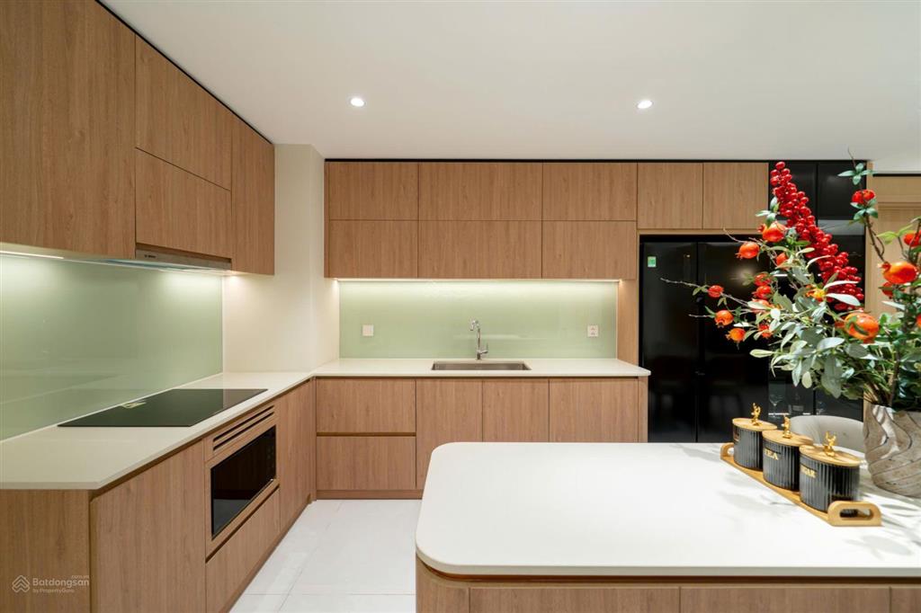Chỉ 5 suất ngoại giao the meridian đn chỉ từ 4tỷ2 sở hữu ngay căn 1pn+1 hướng view pháo hoa diff