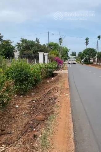 Bán đất tại tô nguyệt đình hơn 20.000 m2, đẹp