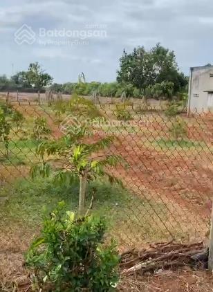 Bán đất tại tô nguyệt đình hơn 20.000 m2, đẹp