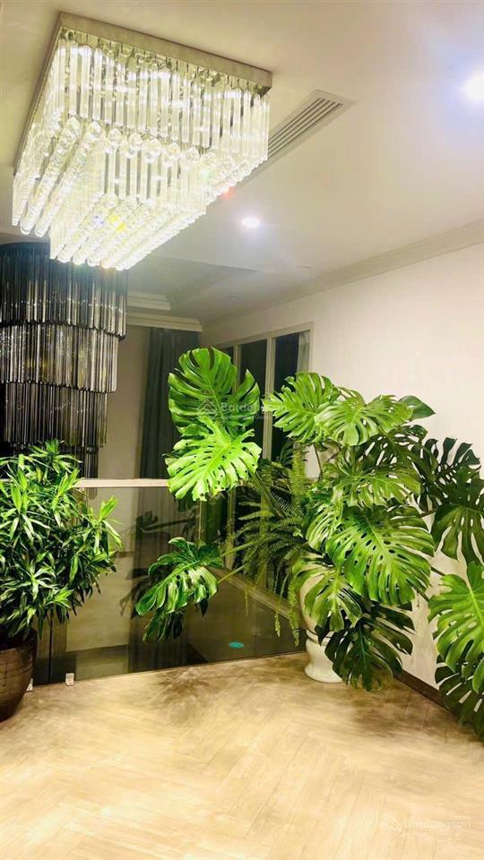 Chính chủ bán căn duplex cao cấp căn góc ecogreen 286 nguyễn xiển