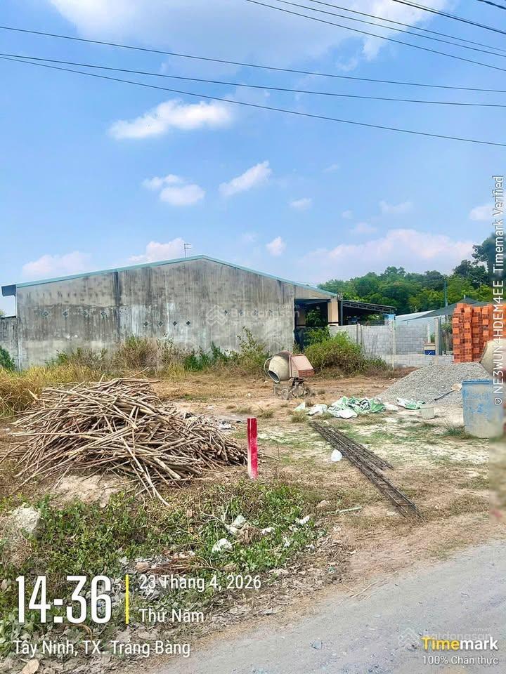 Chỉ 600 triệu có lô đất 150m2 ngay kcn trảng bàng, sổ hồng riêng, dân cư đông.