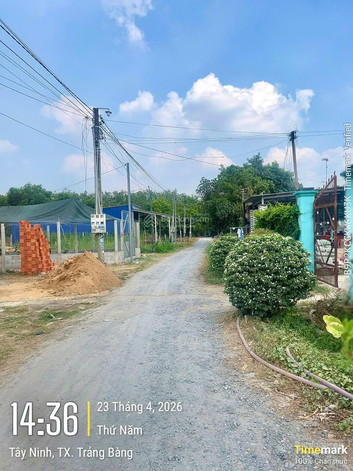 Chỉ 600 triệu có lô đất 150m2 ngay kcn trảng bàng, sổ hồng riêng, dân cư đông.