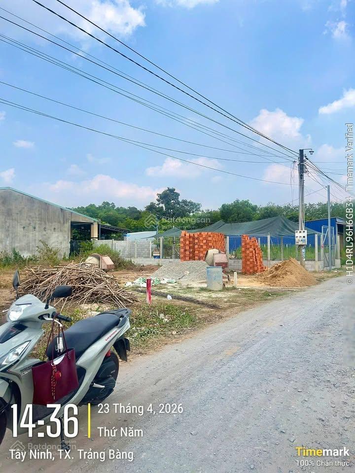 Chỉ 600 triệu có lô đất 150m2 ngay kcn trảng bàng, sổ hồng riêng, dân cư đông.