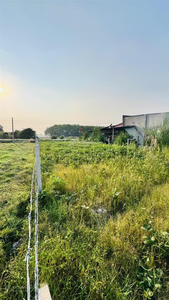 2200m2 đất đường nhựa. gần cổng chính kcn phước đông. 3,2 tỷ