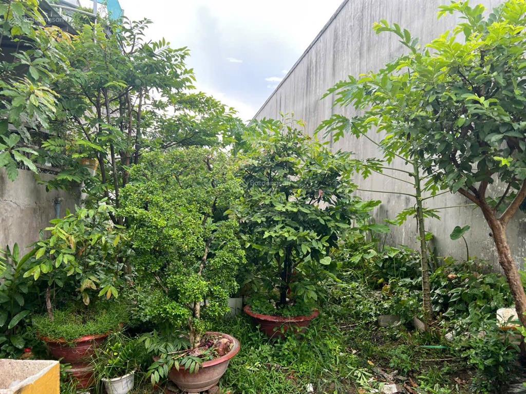 Bán đất tại hẻm đường phạm hùng, lê bình, cái răng, cần thơ, 1,064 tỷ, 113m2 đẹp