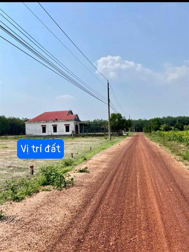 Đất thổ cư hồ chí minh, đường ôtô chỉ 299tr