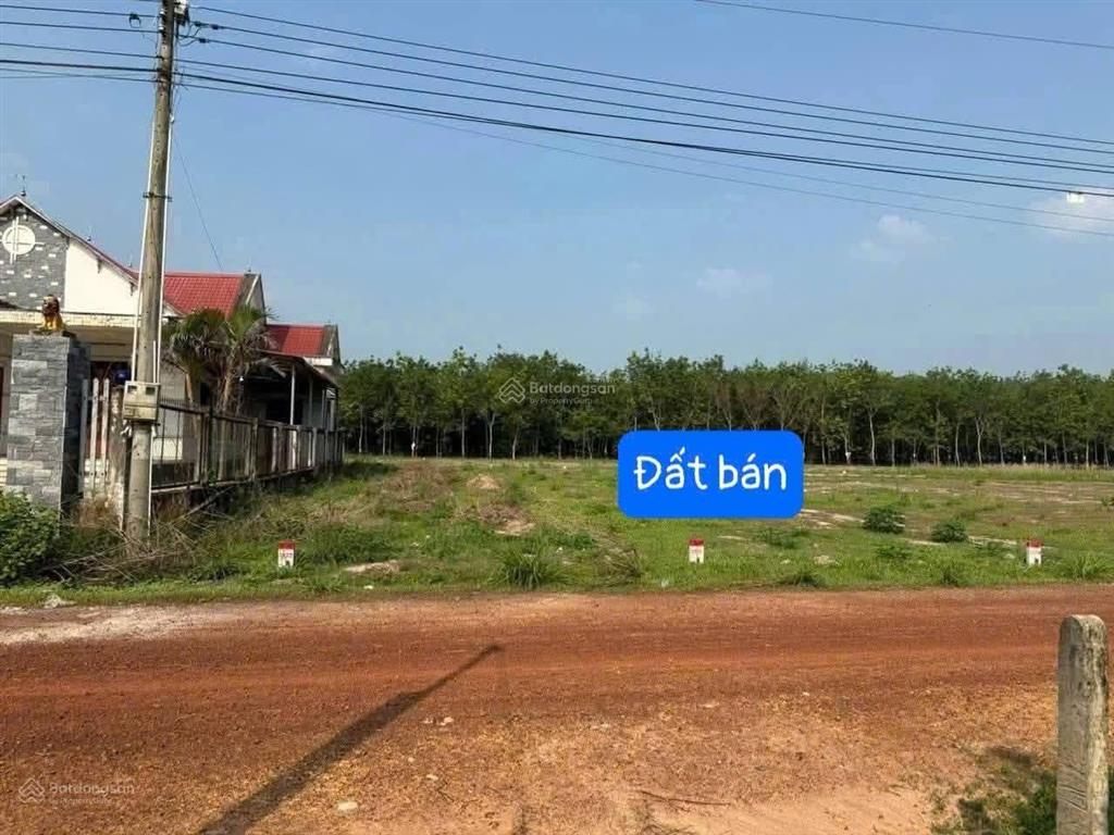 Đất thổ cư hồ chí minh, đường ôtô chỉ 299tr