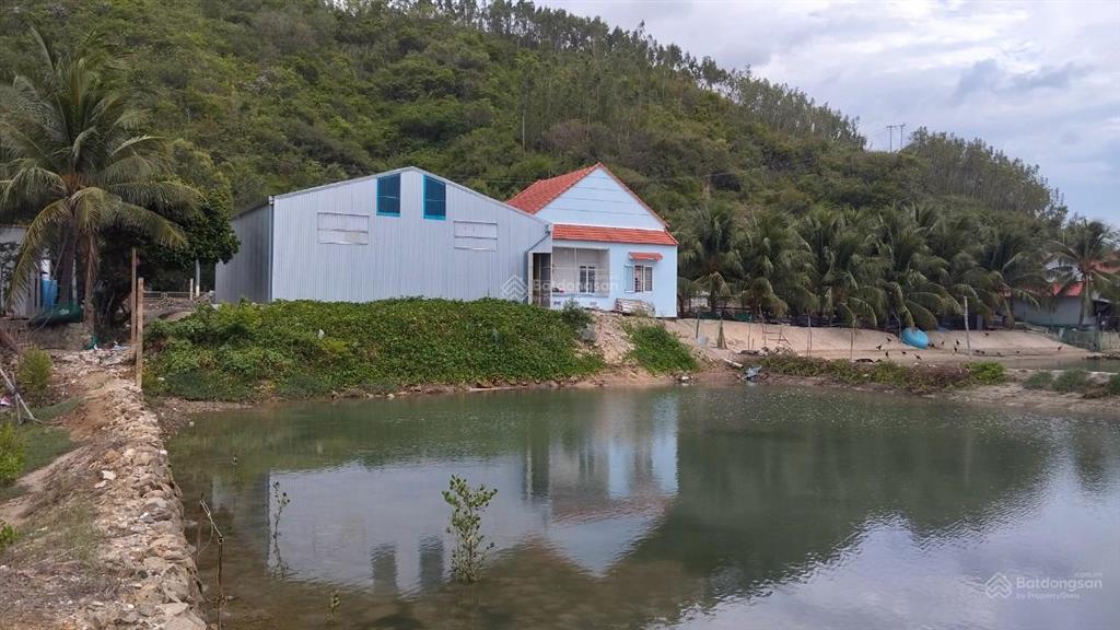 Bán nhà ở, nhà xưởng, và đìa nuôi trồng thuỷ sản