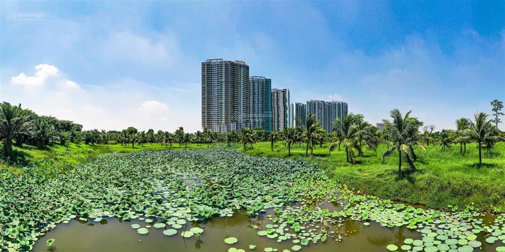 Bán căn hộ siêu hiếm 216m view 270 độ 4 phòng ngủ, sân vườn 30m thang máy riêng, aquabay, ecopark