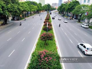 " đất vàng 420 m2  mt 12 m " mặt phố nguyễn chí thanh  lô góc 3 thoáng hiếm có