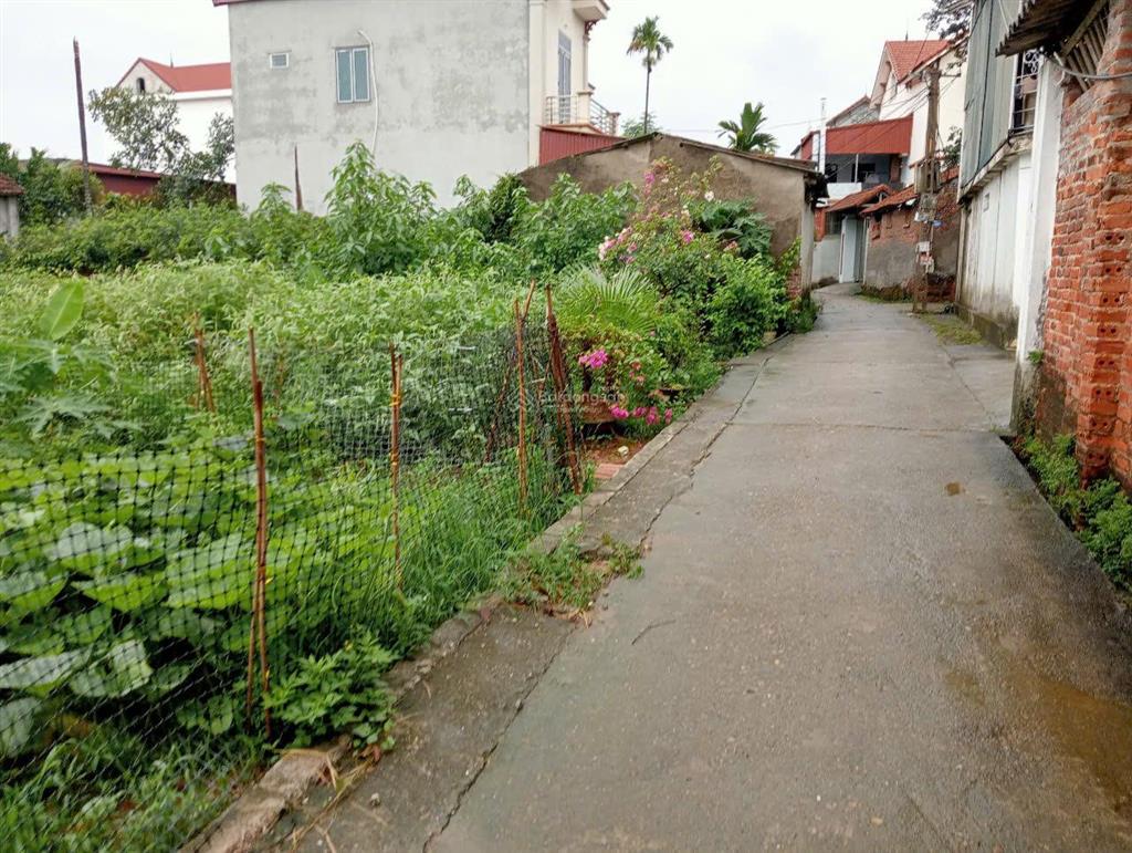 Bán đất thổ cư 66 m2 tại xã phúc thọhà nội
