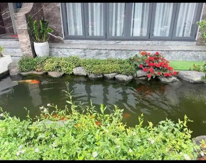 Cho thuê nhà 3 phòng Yersin, phường 9, Đà Lạt 65 triệu/tháng