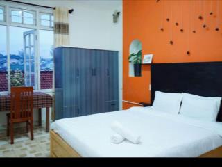 Cho thuê homestay vila  Phan Chu Trinh  đà đat 11pn - 9wc, giá thuê 17tr/tháng