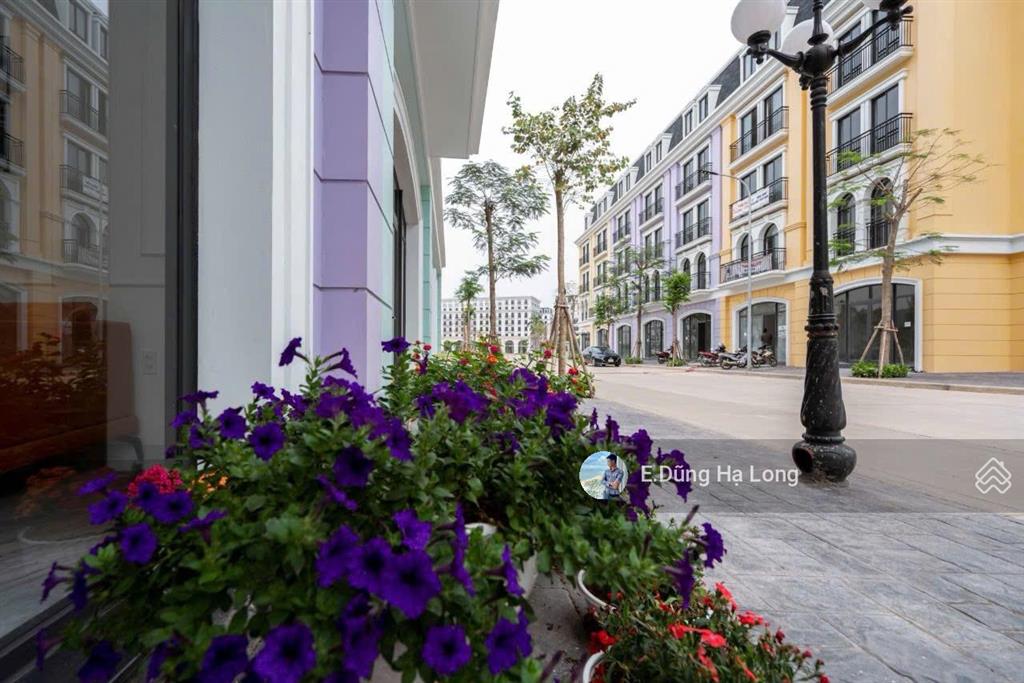 Cắt lỗ hđmb chỉ hơn 86tr/m2 tại harbor bay hạ long, chỉ có từ e. dũng hl