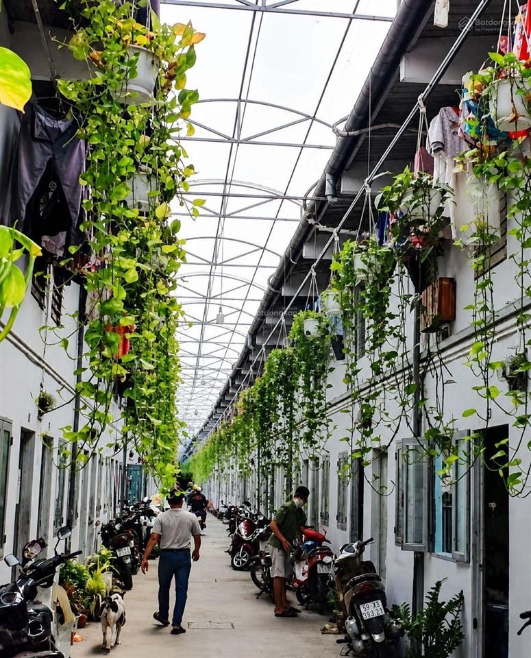 Ngân hàng thanh lý dãy trọ 20 phòng.15mx35m. giá 1,1 tỷ ở đường tạ quang bửu. thu nhập 45 triệu