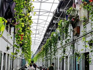 Ngân hàng thanh lý dãy trọ 20 phòng.15mx35m. giá 1,1 tỷ ở đường tạ quang bửu. thu nhập 45 triệu