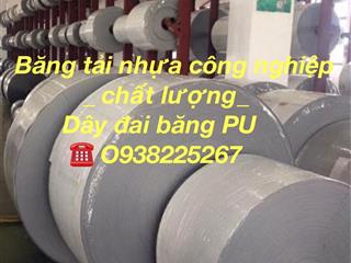 PE TRONG NGÀNH MÀI MÒN CAO (UHMW-PE)