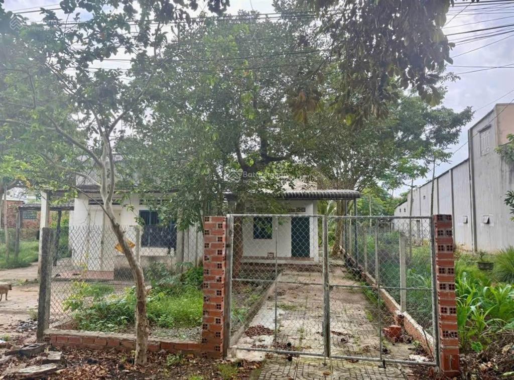 Bán đất hẻm 1/ bùi thanh khiết bình chánh 2 tỷ 8