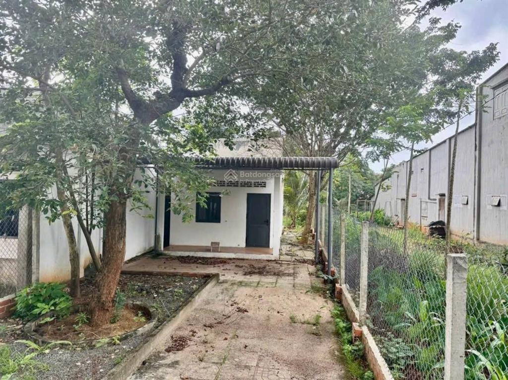 Bán đất hẻm 1/ bùi thanh khiết bình chánh 2 tỷ 8