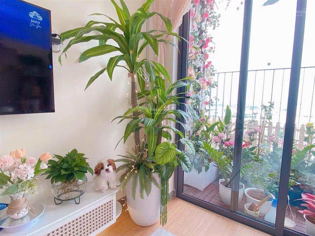 Bcons polygon cho thuê căn 2pn, 2wc, 54m², ban công mát, full nội thất, 9 triệu ở được tới 3 người