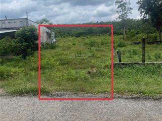 Dầu tiếng, bình dương bán đất 194m2 mt đường nhựa thông gần dh704 giá 499tr