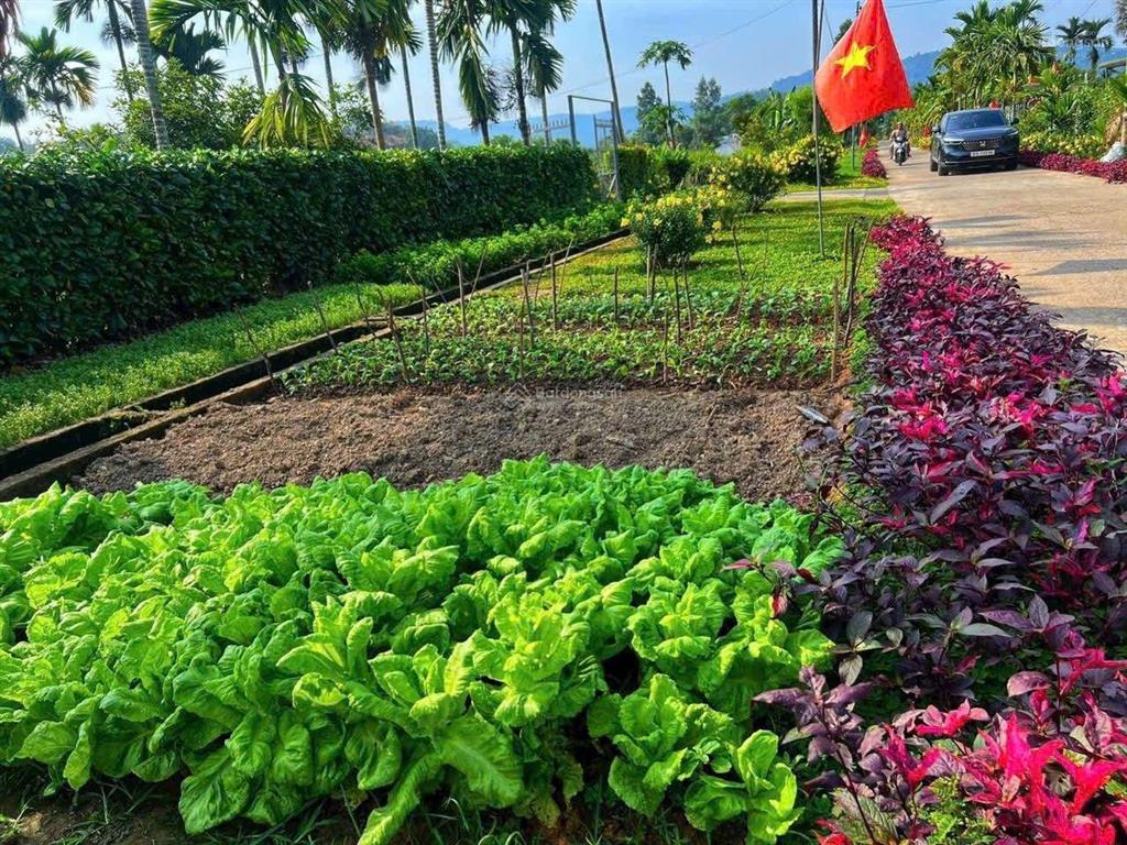 Đạ tẻh, lâm đồng bán lô đất 284m2 sẵn thổ cư đường ô tô né nhau giá 279tr