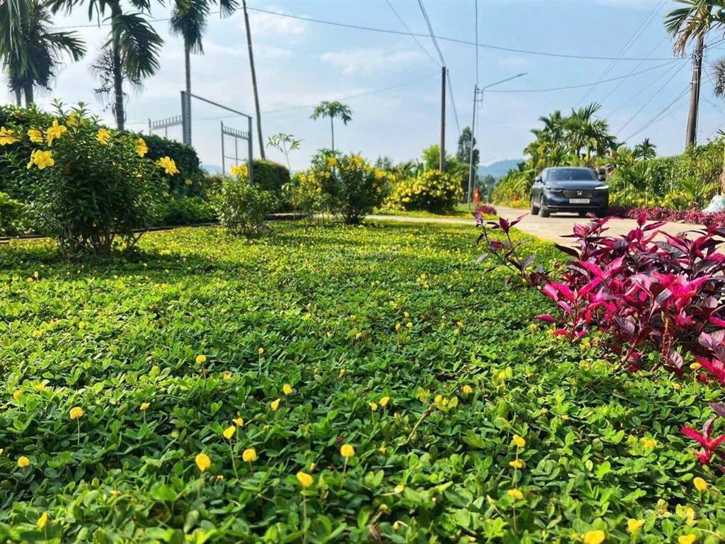 Đạ tẻh, lâm đồng bán lô đất 284m2 sẵn thổ cư đường ô tô né nhau giá 279tr