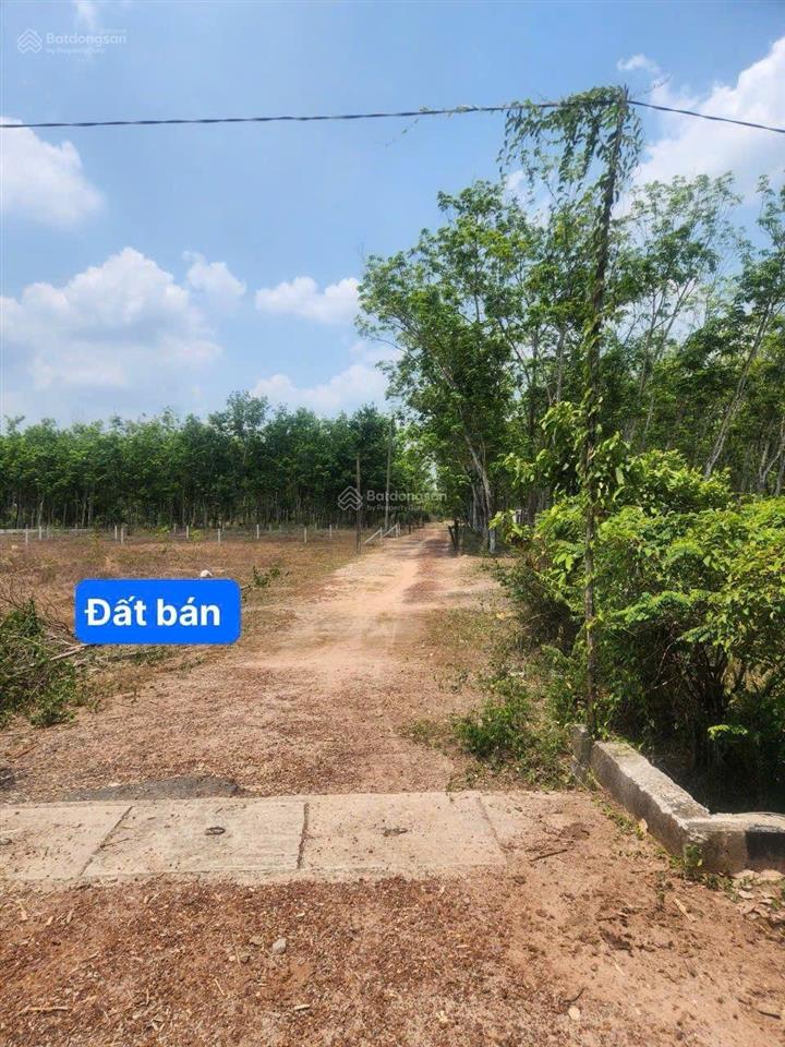 Dầu tiếng, hcm bán lô đất 415m2 ngang 10m sẵn thổ cư gần dt704 gần kdc