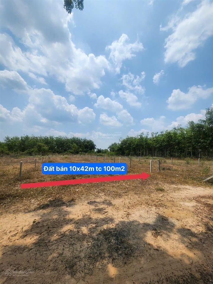 Dầu tiếng, hcm bán lô đất 415m2 ngang 10m sẵn thổ cư gần dt704 gần kdc