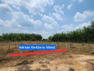 Dầu tiếng, hcm bán lô đất 415m2 ngang 10m sẵn thổ cư gần dt704 gần kdc