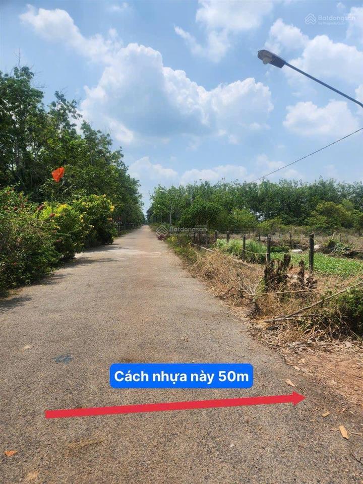 Dầu tiếng, hcm bán lô đất 415m2 ngang 10m sẵn thổ cư gần dt704 gần kdc