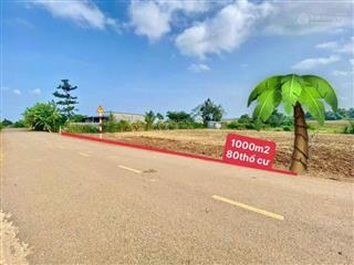 Đất đỏ, bán đất sào sẵn thổ cư đường nhựa ô tô tránh nhau giá 2,5tỷ