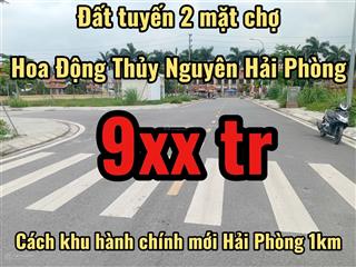 Bán lô đất hoa động thủy nguyên sau nhà mặt đường 203 giá chỉ 980 triệu
