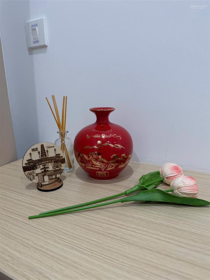 Cho thuê chung cư the minato ct1 căn hộ 3 phòng ngủ giá 24 triệu/tháng.