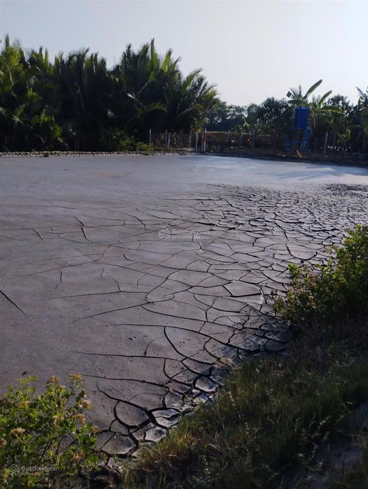 Bỏ phố về cần giờ  sở hữu ngay 1000m không gian sống xanh chỉ với 3.5 tỷ