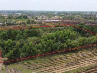 Lỗ chứng khoán bán gấp đất 1 sẹc vành đai 4 5x30m thổ 550tr và 5600m2 kế bên