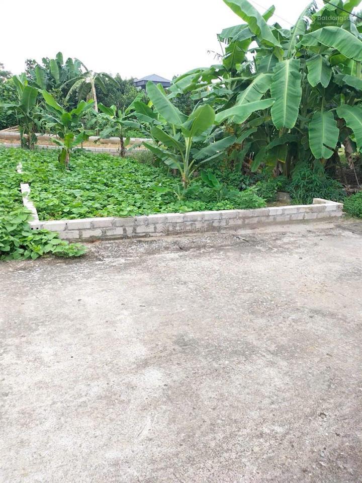 Bán 60,8m tân xã, thạch thất,( xã hạ bằng mới) giáp khu cnc hòa lạc, fptđh quốc gia trục chính