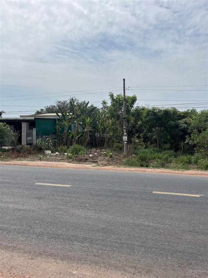 Bán đất đối diện nhà máy đường