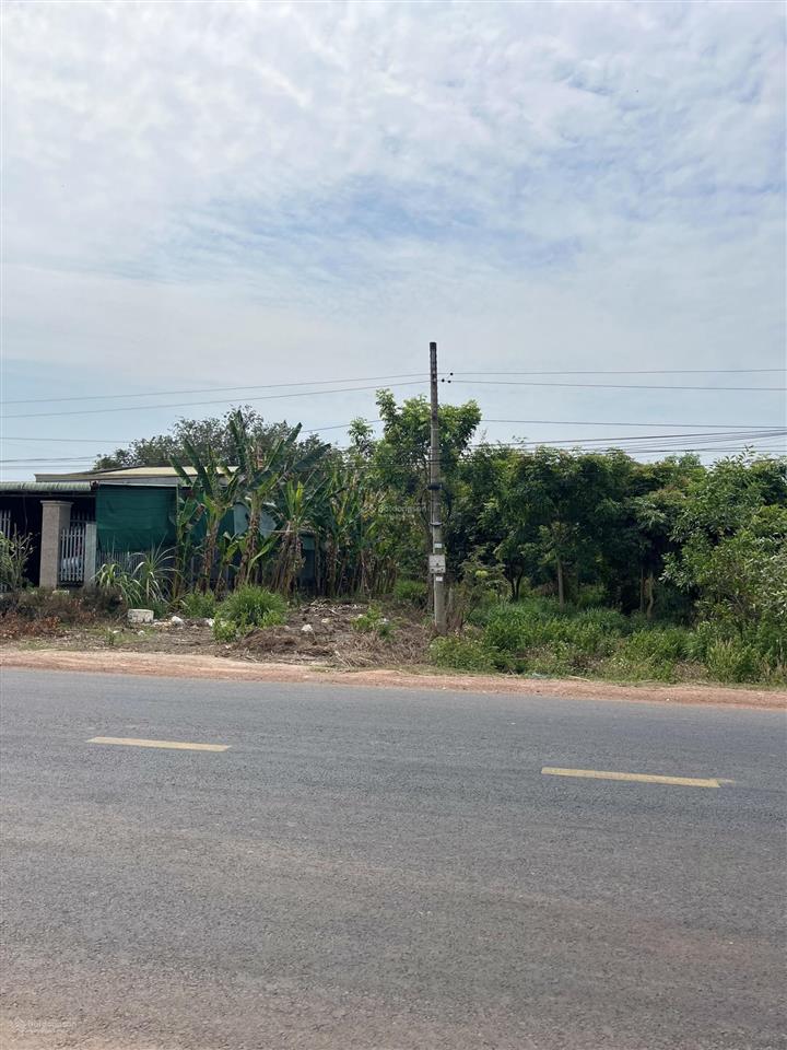 Bán đất đối diện nhà máy đường