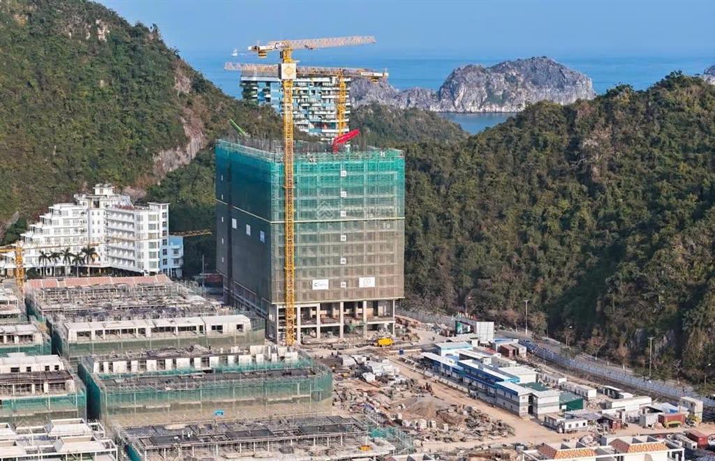 Chỉ với 2 tỷ sở hữu ngay căn hộ mặt biển tại dự án xanh island cát bà.  0916 916 ***