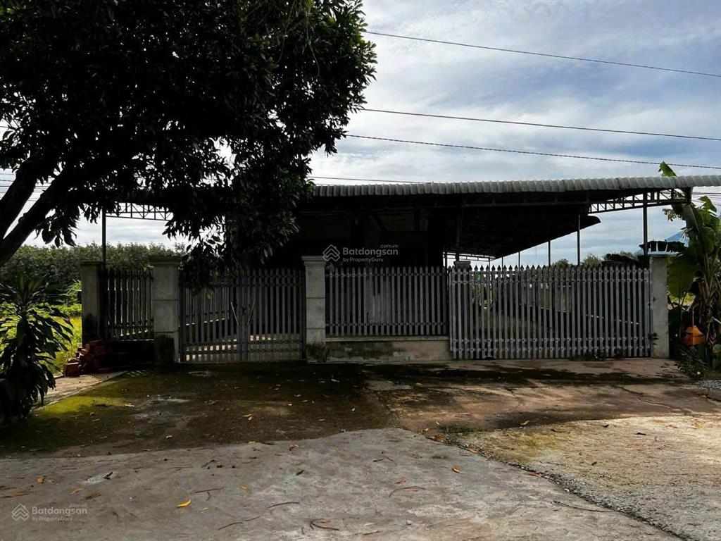Bán 35m mặt tiền 793 (45m) đang ngộp bank, chỉ 3tỷ2 buông sổ