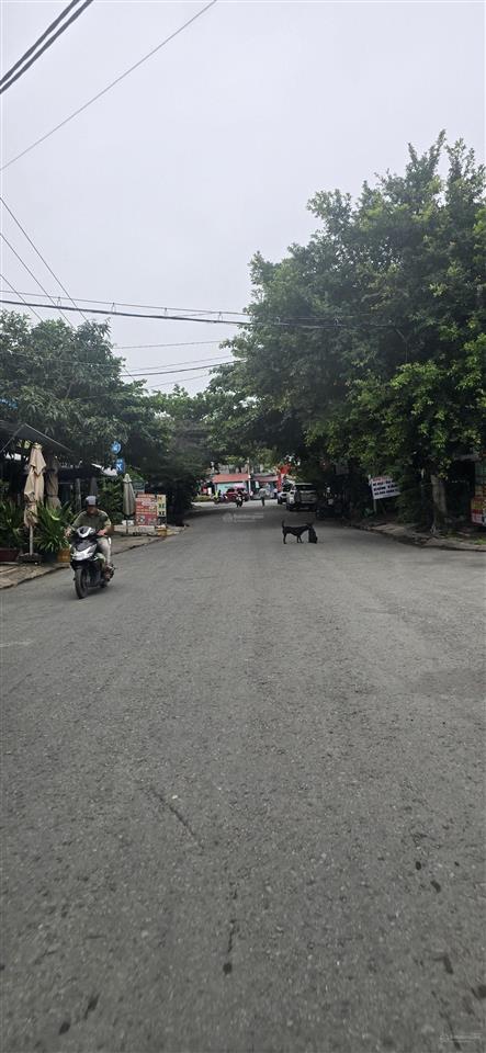 Chủ gấp bán chỉ còn 4,4 tỷ lô đất dt 141m2 mt đường nhựa 12m nguyễn văn tạo, long thới, nhà bè